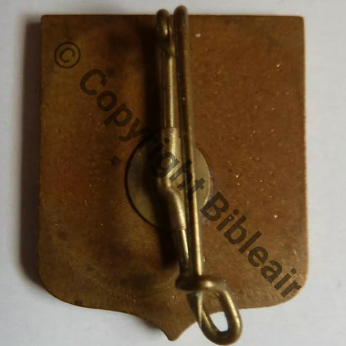 INCONNU AA ou autre GC ou EC  SM Bol pince Dos lisse irreg Src.michey88 100Eur09.24   